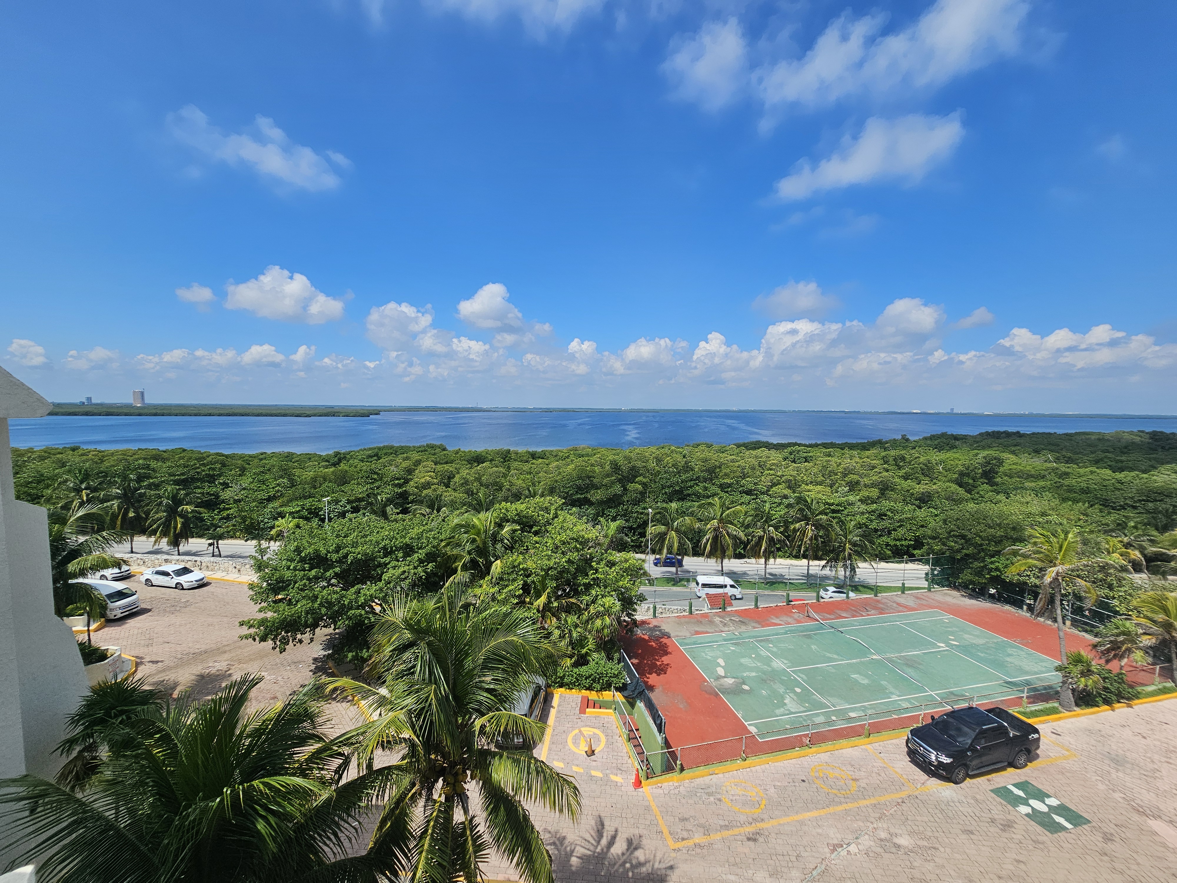 Vista a los manglares 3911